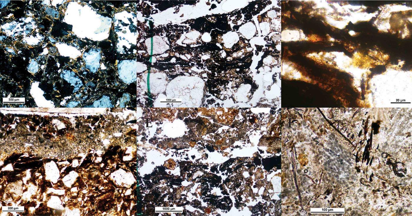 Six photographies aux microscopes de sédiments sont accolées.