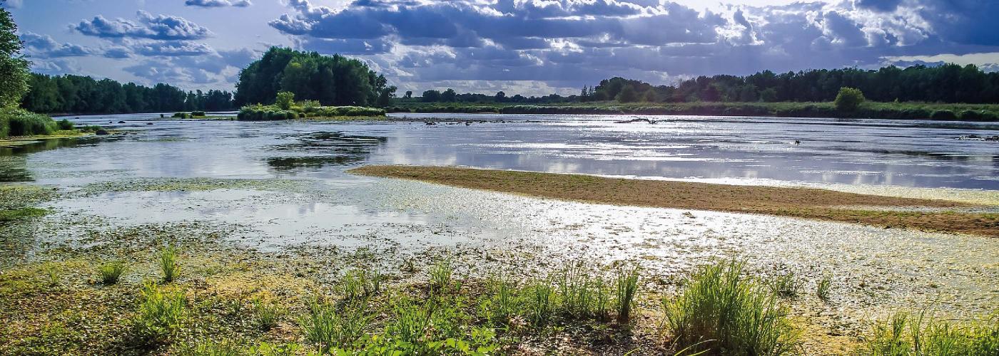 Vue du lit de la Loire depuis les berges.